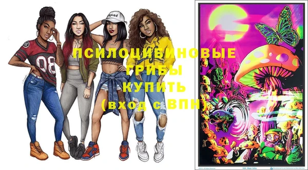 соль курить ск Михайлов