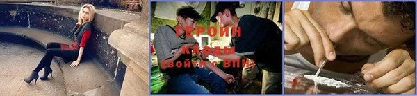 стафф Михайловск