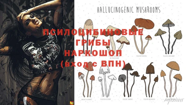 прущая мука Михайловка