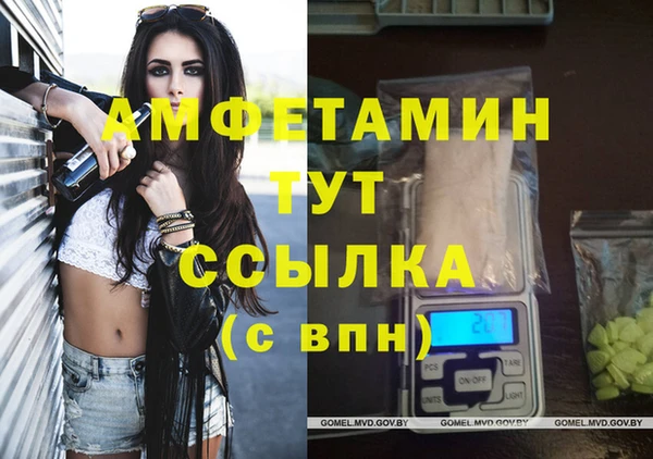 стафф Михайловск