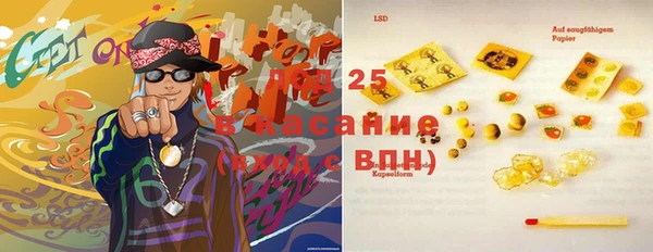 стафф Михайловск