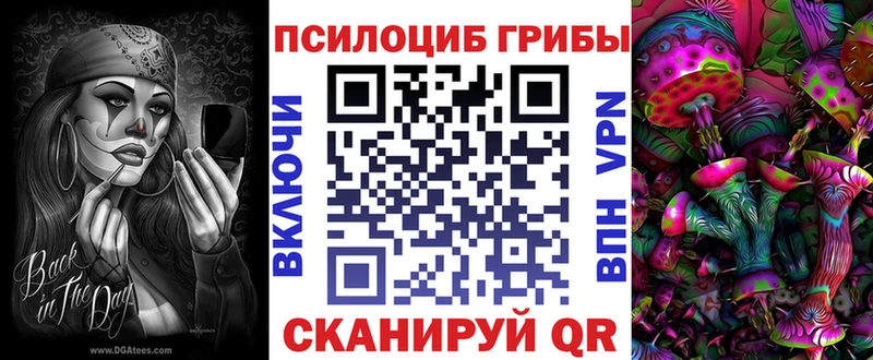 где можно купить наркотик  маркетплейс какой сайт  Галлюциногенные грибы мицелий  Тетюши 